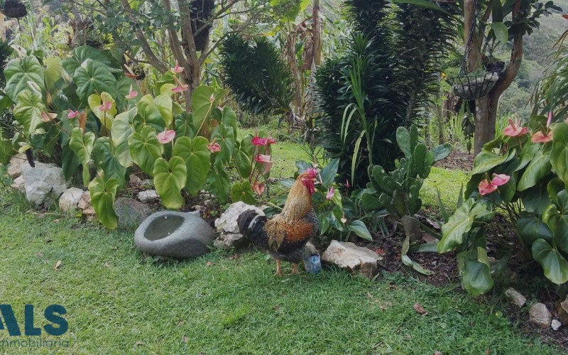 Finca Recreativa en Santo Domingo en Rural