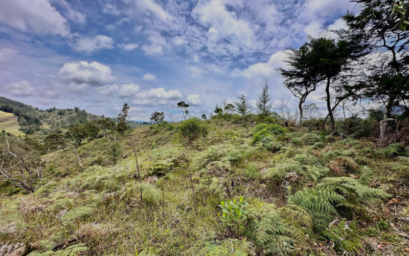Lote Residencial en La Ceja en El Ochuval