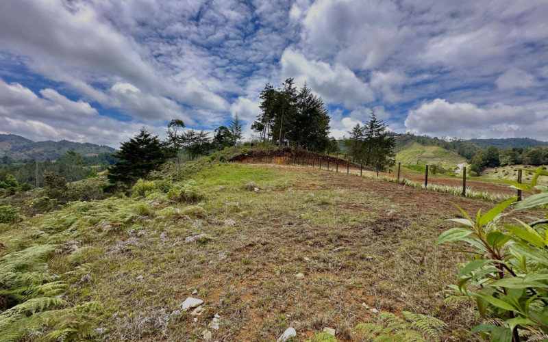 Lote Residencial en La Ceja en El Ochuval