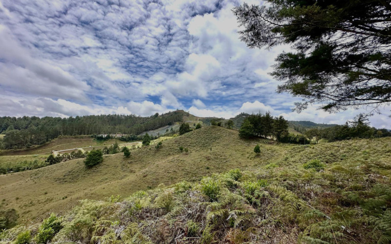 Lote Residencial en La Ceja en El Ochuval