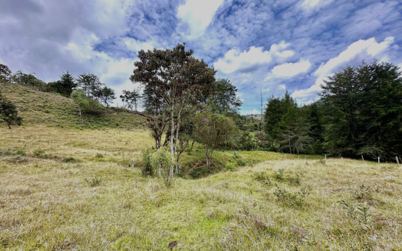 Lote Residencial en La Ceja en El Ochuval