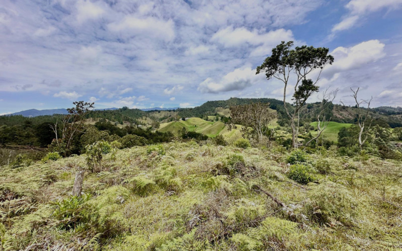 Lote Residencial en La Ceja en El Ochuval
