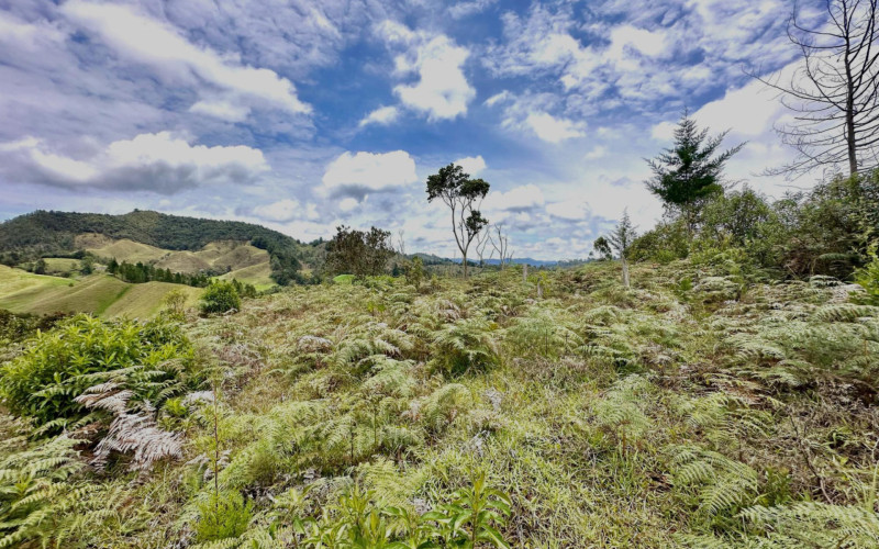 Lote Residencial en La Ceja en El Ochuval