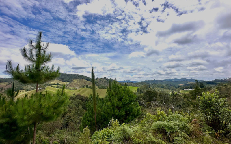 Lote Residencial en La Ceja en El Ochuval