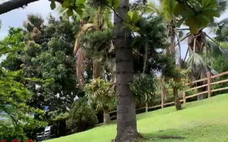 Finca Recreativa en Copacabana en V. Alvarado