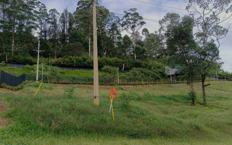Lote Residencial en La Ceja en V. El Tambo