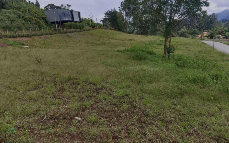 Lote Residencial en La Ceja en V. El Tambo
