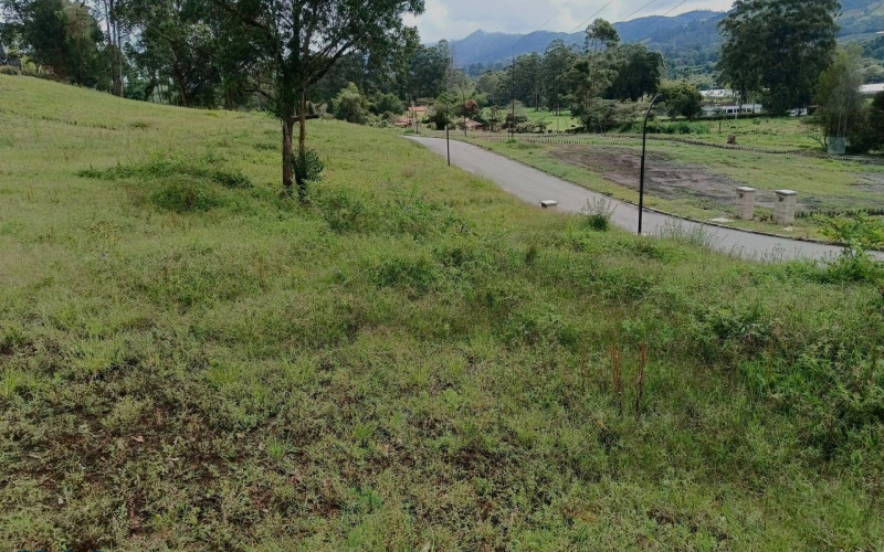 Lote Residencial en La Ceja en V. El Tambo