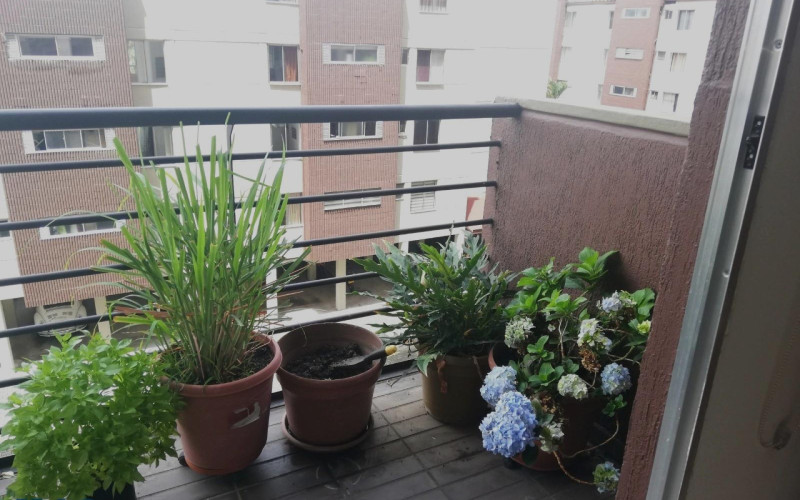 Apartamento en Medellín en Los Colores