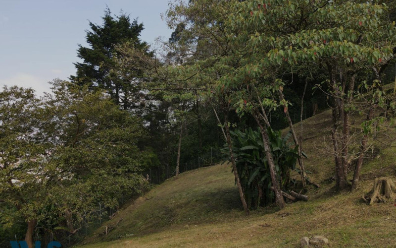 Lote Residencial en Envigado en Loma del Escobero