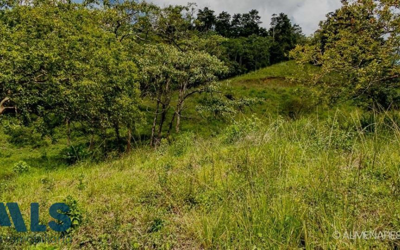Lote Residencial en Envigado en Loma del Escobero