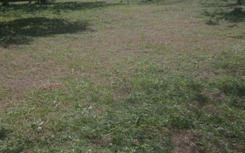Lote Residencial en Sopetrán en sector el gaitero
