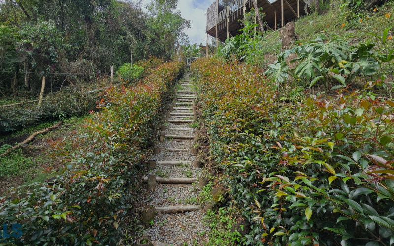 Finca Recreativa en San Vicente en Rural
