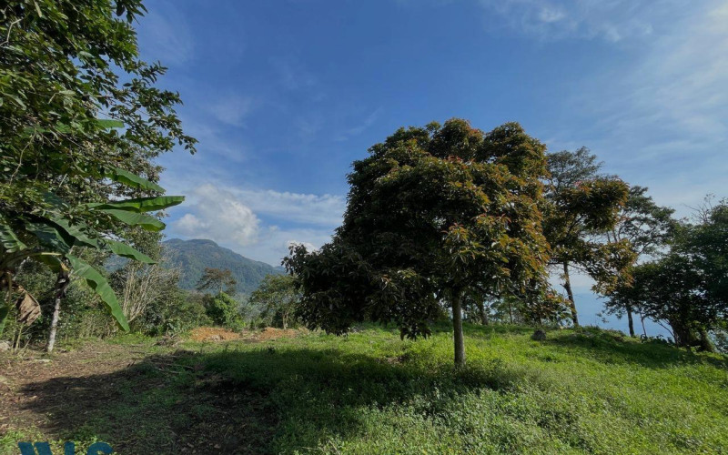 Lote Residencial en Támesis en Rural