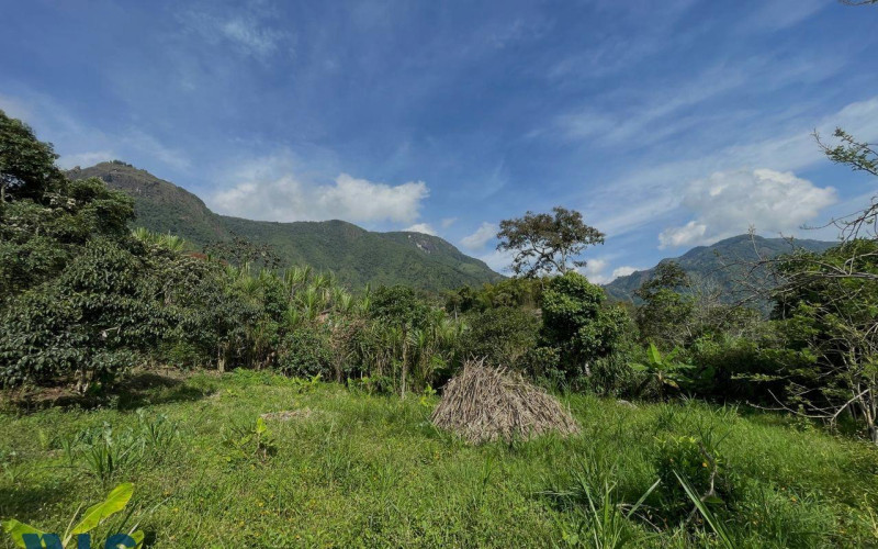 Lote Residencial en Támesis en Rural