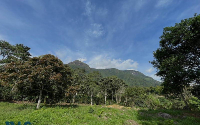 Lote Residencial en Támesis en Rural