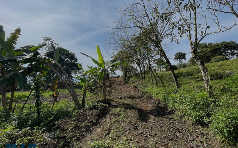Lote Residencial en Támesis en Rural