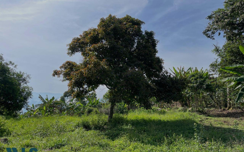 Lote Residencial en Támesis en Rural