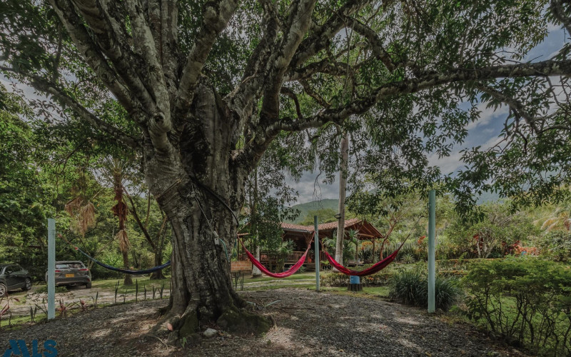 Finca Recreativa en San Jerónimo en Urbano