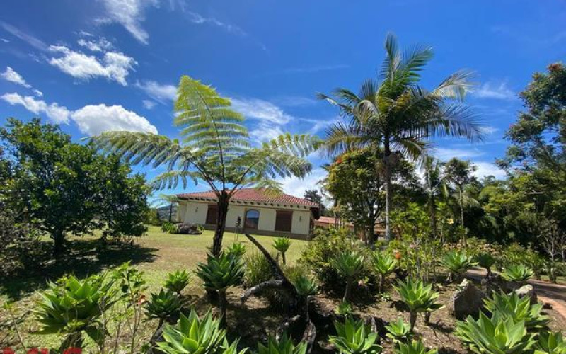 Casa en Rionegro en V. Pontezuela