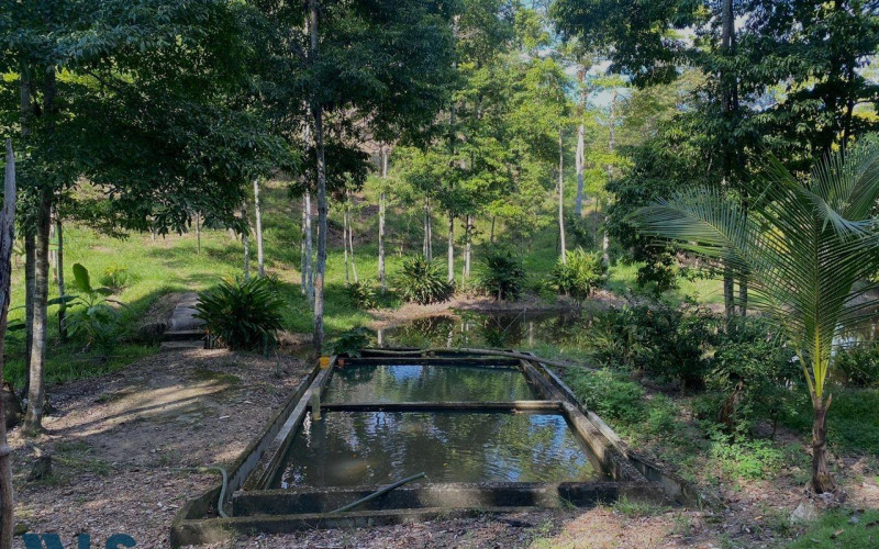 Finca Recreativa en Doradal en No Aplica
