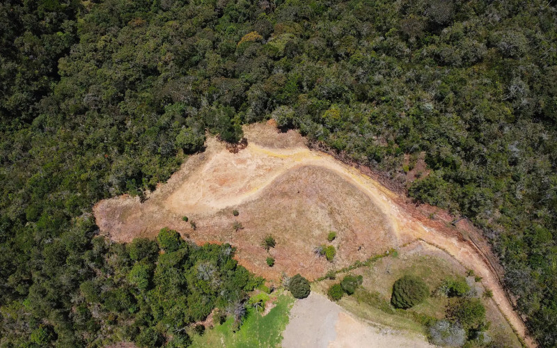 Private Forest Sanctuary in Escobero