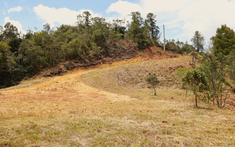 Private Forest Sanctuary in Escobero