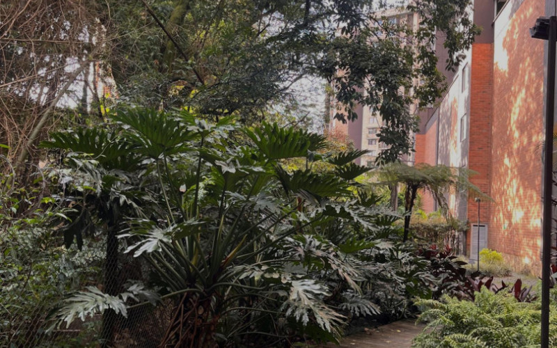 Apartamento en Sabaneta en Los Alcazares