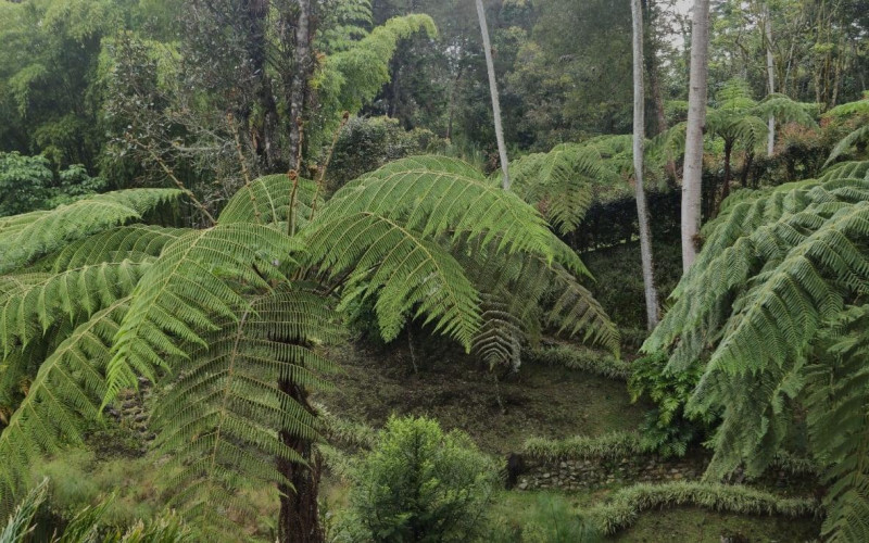 Casa en Rionegro en Llanogrande