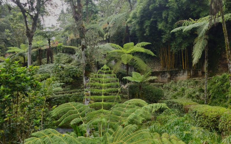 Casa en Rionegro en Llanogrande
