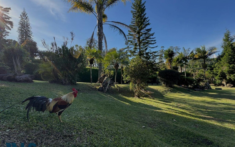 Finca Recreativa en Guarne en V. La Mosquita (Guarne)