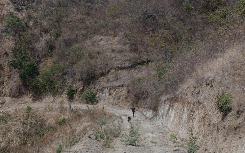 VENTA DE LOTE CON HERMOSA VISTA