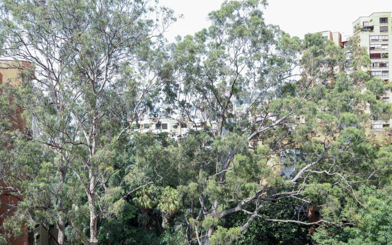 Apartamento  en Venta sector Tomatera, Barrio  poblado Medellín 264M2