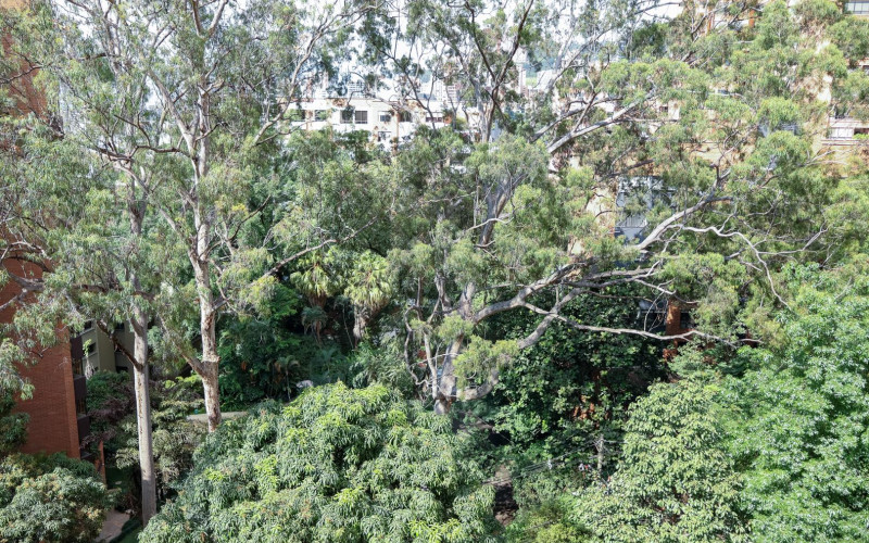 Hermoso Apartamento para Alquilar  260M2en poblado Tomatera