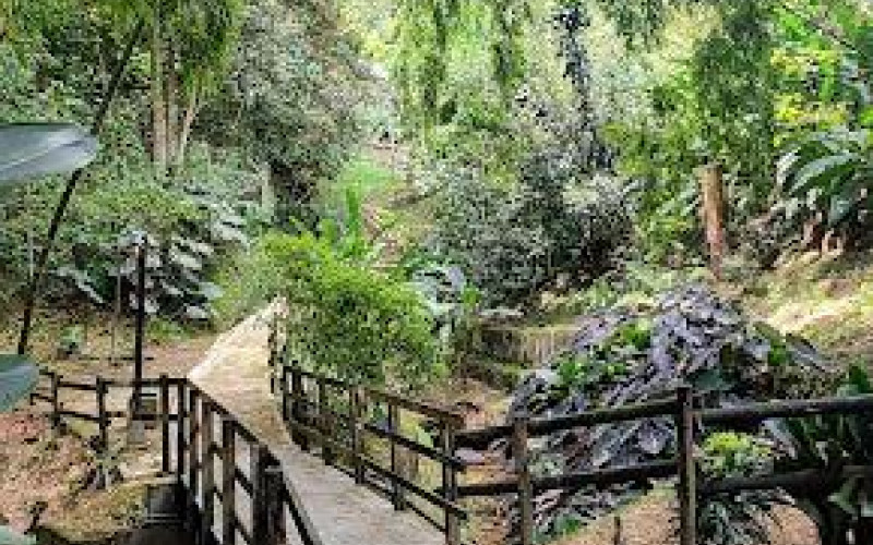 Venta Hermosa Casa en Envigado Cumbres 209M2