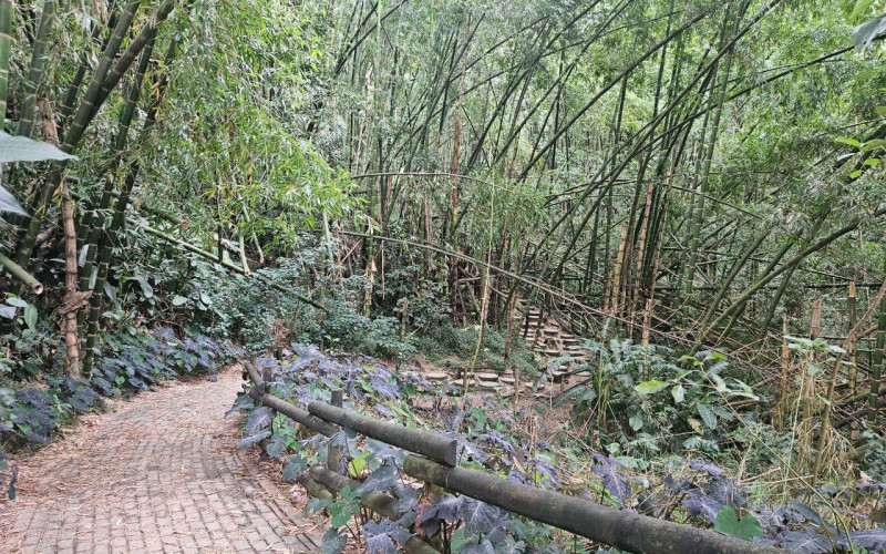 Smart investment in Sabaneta, brand-new apartment.