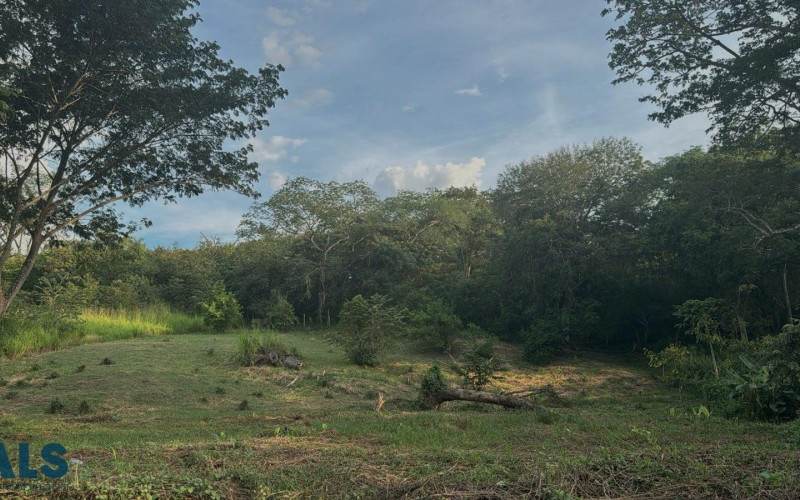 Lote Residencial en Sopetrán en C. Córdoba