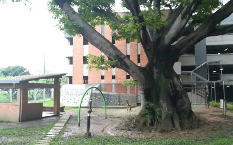 Venta Apartamento Niquía Ceiba del Norte | 4 Habitaciones | Acabados Premium & Club House