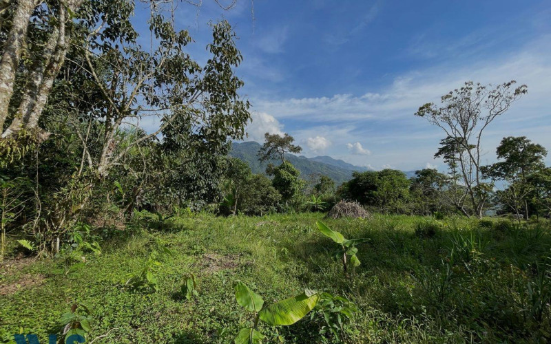 Lote Residencial en Guatapé en El roble