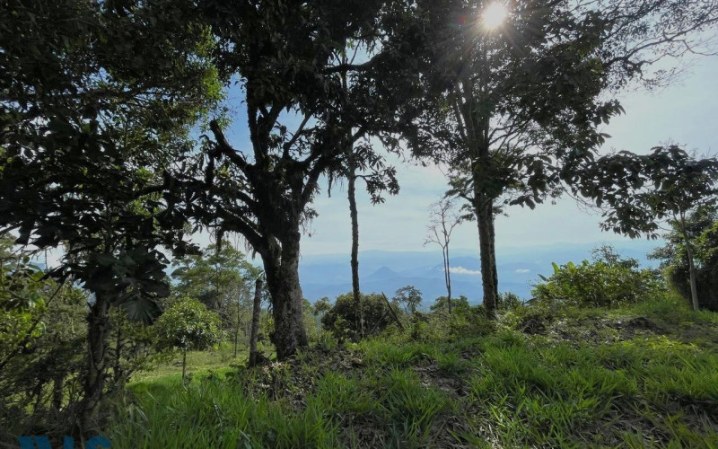 Lote Residencial en Guatapé en El roble