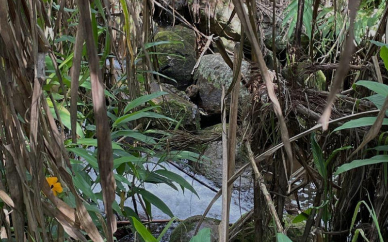 Lote Residencial en Guatapé en El roble