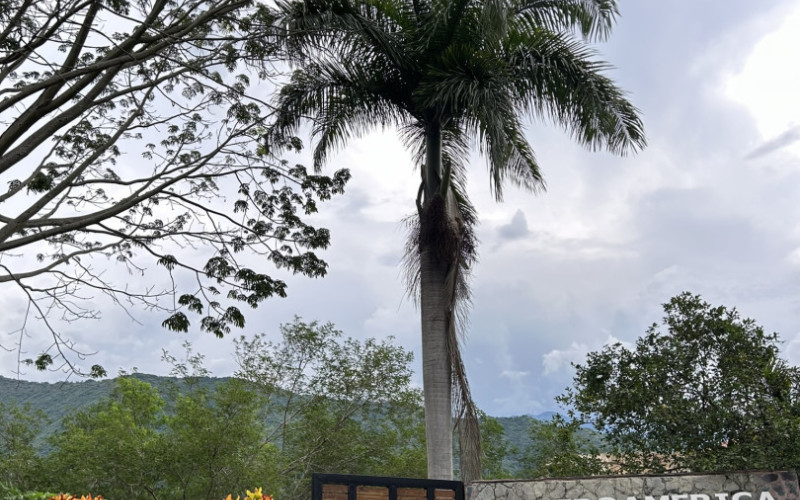 Exclusive Riverside Estate Lot: 270° Views & 5,100 sqm in Occidente Antioqueño