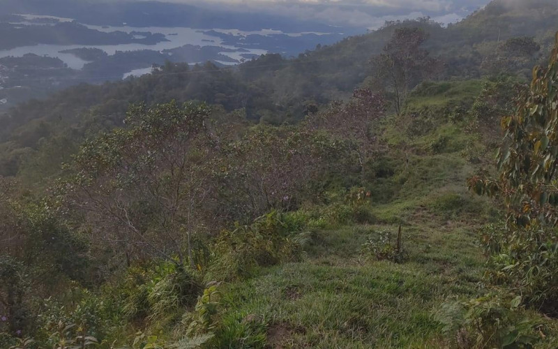 Lote Residencial en Guatapé en El roble