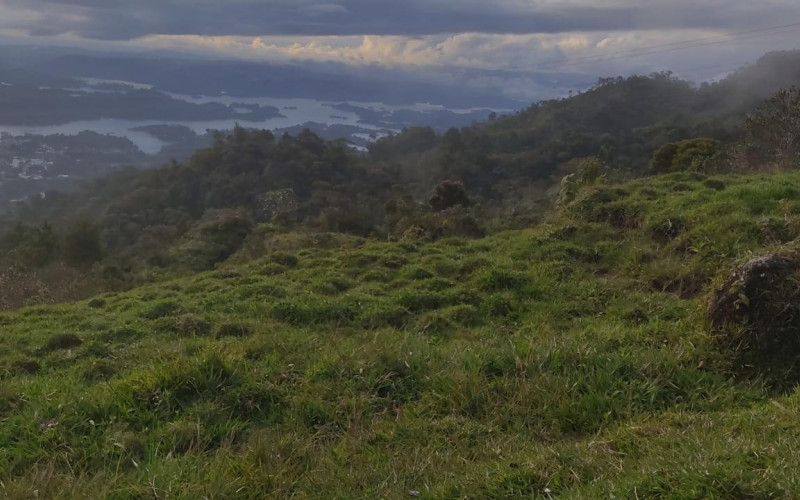 Lote Residencial en Guatapé en El roble