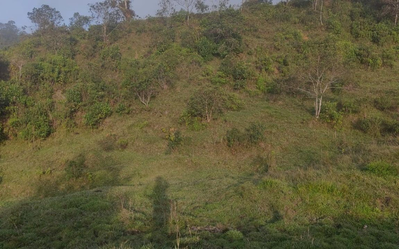 Lote Residencial en Guatapé en El roble