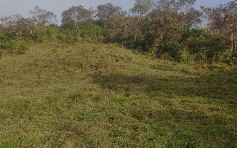 Lote Residencial en Guatapé en El roble