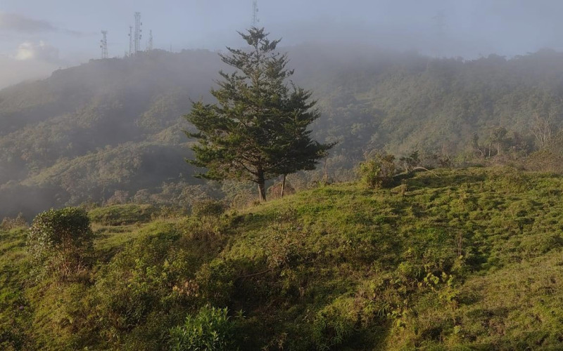Lote Residencial en Guatapé en El roble