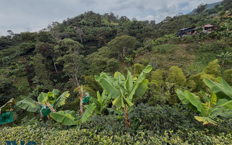 Finca Recreativa en Jardin en Rural