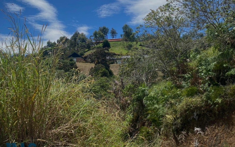 Lote Residencial en El Retiro en V. El Portento