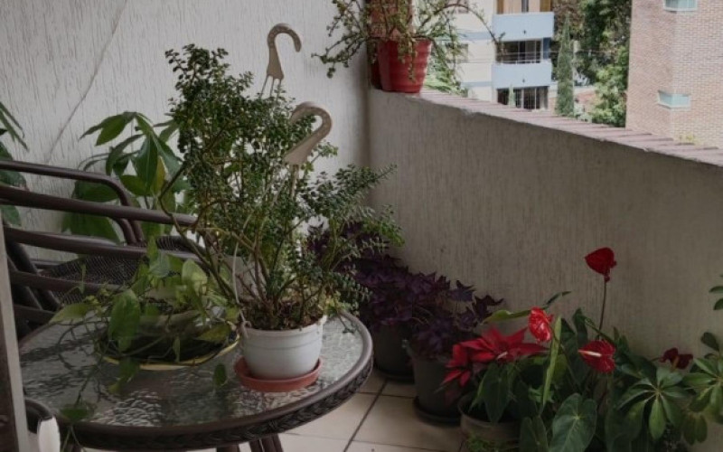 Apartamento en Medellín en Laureles